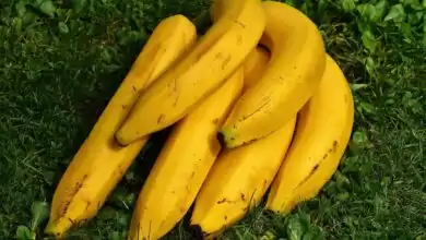 Αλεύρι μπανάνας: Τα 8 οφέλη για την υγεία