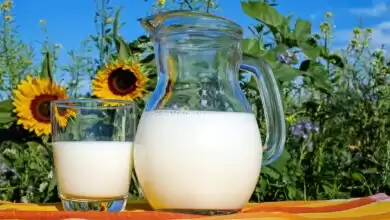 Γάλα: Ζωικό vs φυτικό- Τα υπέρ και τα κατά